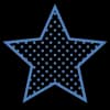 Star icon